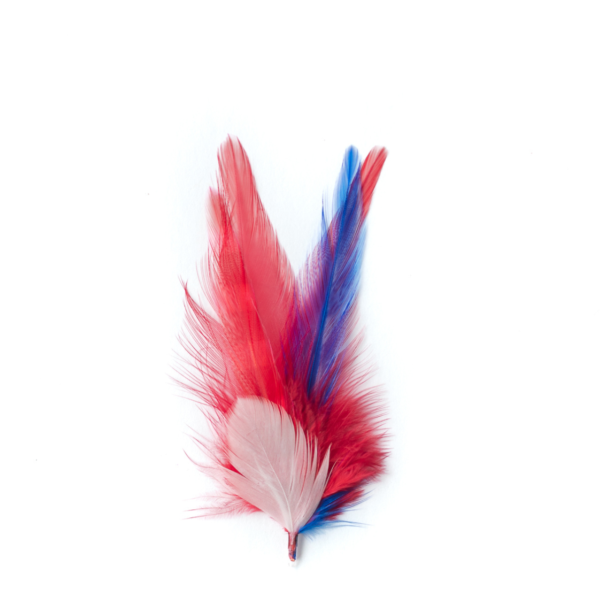 Patriotic Short Extension