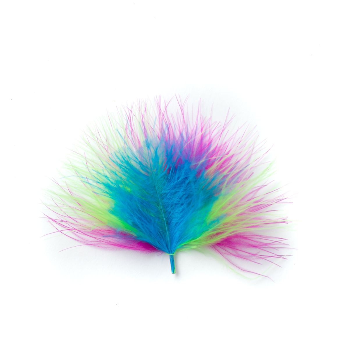 Peacock Short Extension