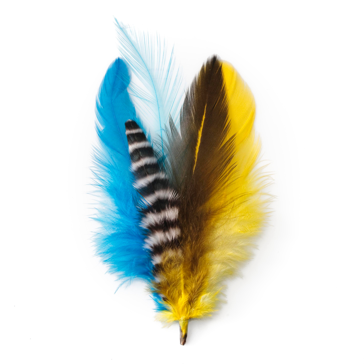 Macaw Long Extension