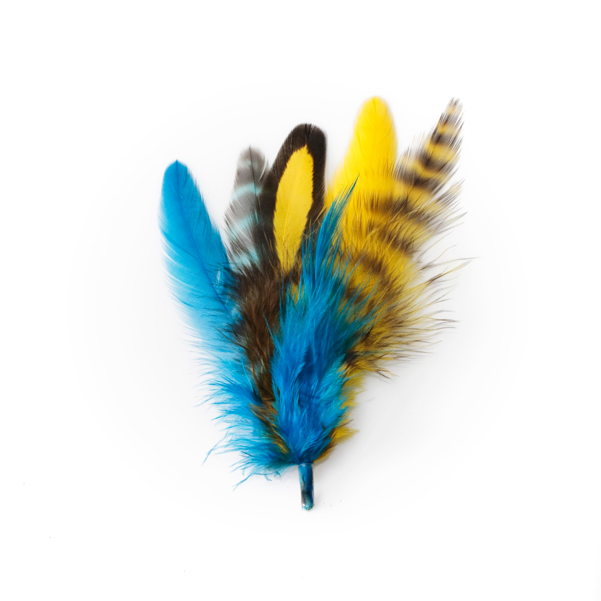 Macaw Short Extension
