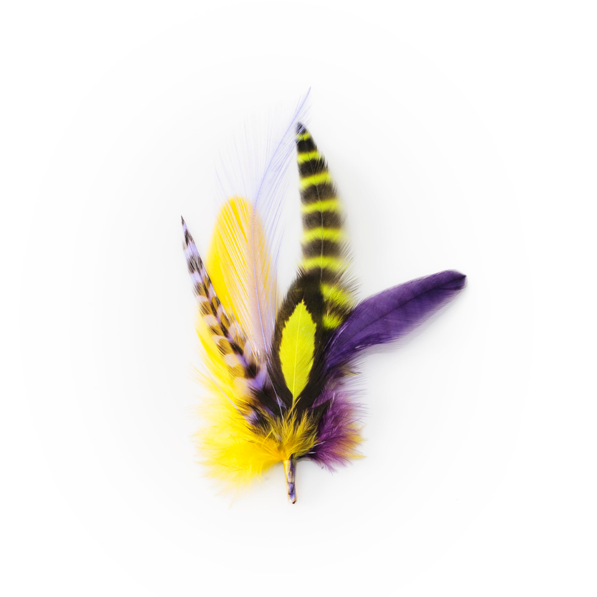 Mardi Gras Short Extension