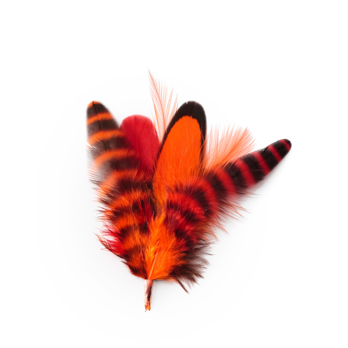 Phoenix Short Extension